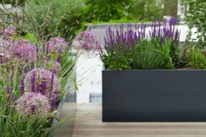  Plantenpotten inspiratie ideeën voor thuis, kantoor of in een mooie tuin eliassen.nl