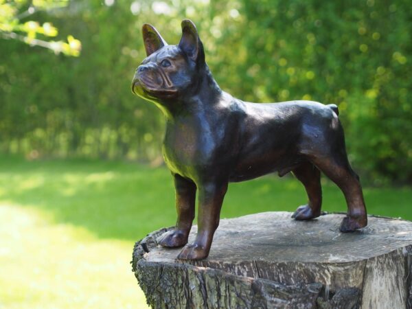 bronzen bulldog - eliassen.nl