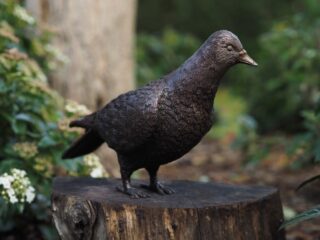 Bronzen duif kop hoog-Eliassen.nl