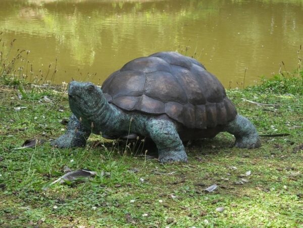 Eliassen Beeld brons supergroot schildpad