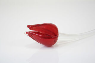 Eliassen Bloem glas Tulp rood