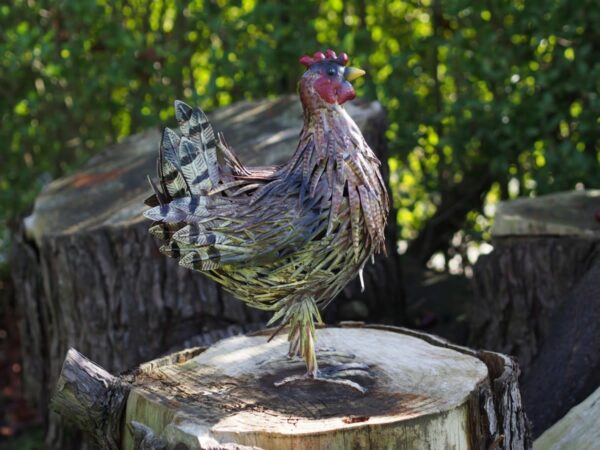 metalen hen - eliassen.nl