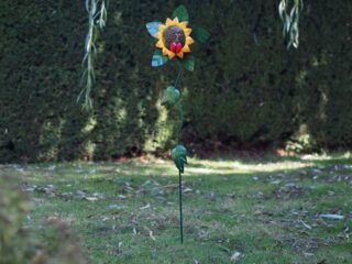 tuinsteker zonnebloem groot - eliassen.nl