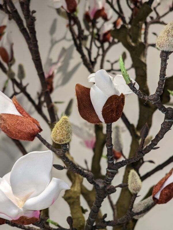 Countryfield Kunstplant Bloeiende Magnolia wit 210cm eliassen.nl 3