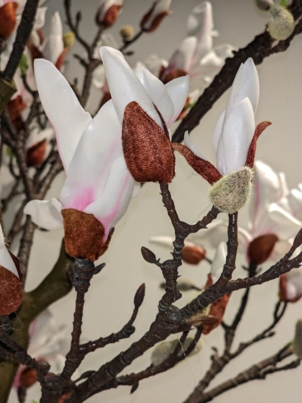 Countryfield Kunstplant Bloeiende Magnolia wit 210cm eliassen.nl 4