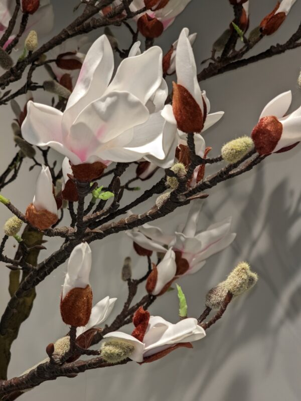 Countryfield Kunstplant Bloeiende Magnolia wit 210cm eliassen.nl 5