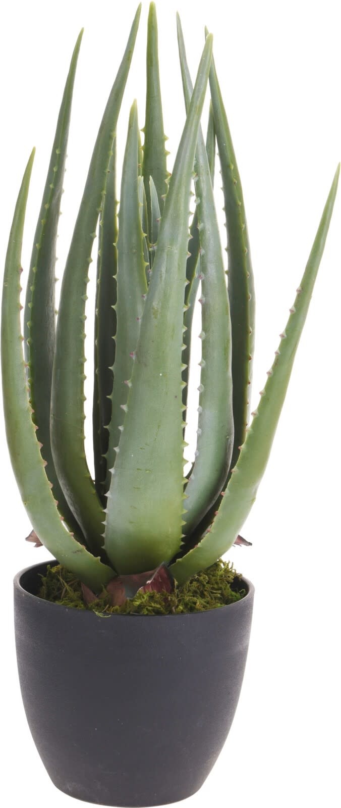 Kunstplant Aloe vera 45cm Eliassen.nl  317220190