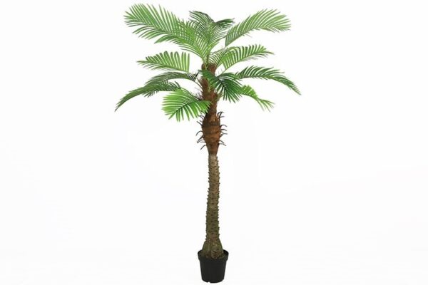 Kunstplant Areca 210cm - Eliassen.nl