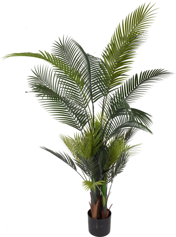 Kunstplant Areca palm Eliassen.nl 318001020