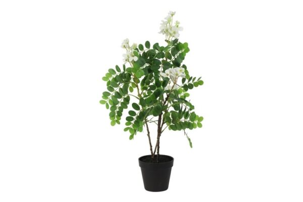 Kunstplant Cassia glauca bloeiend wit 60cm - Eliassen.nl