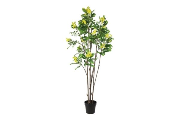 Kunstplant Cassia glauca geel 180cm - Eliassen.nl