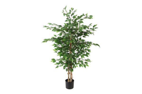 Kunstplant Ficus 150cm - Eliassen.nl