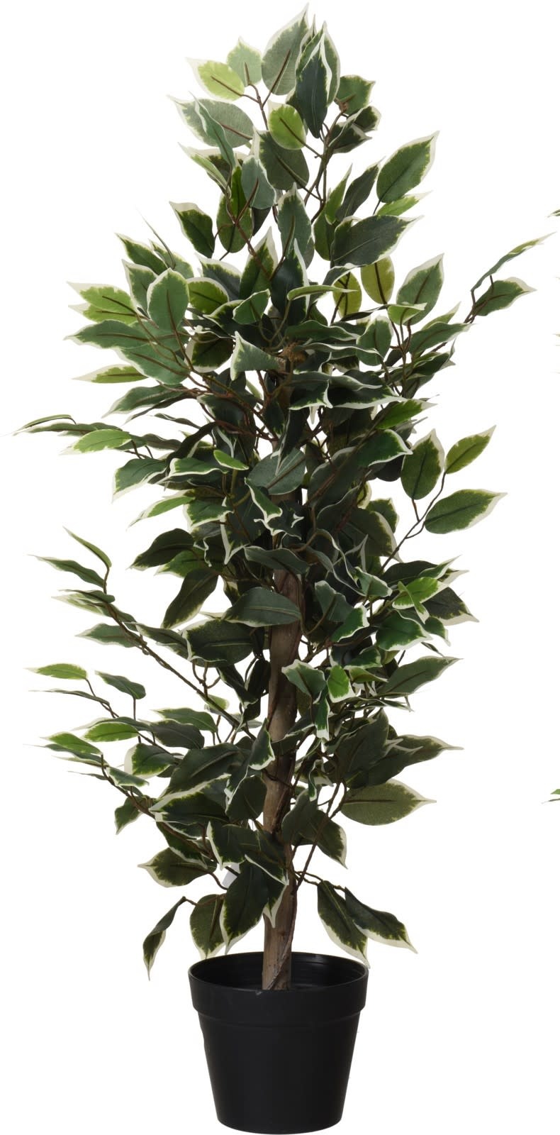 Kunstplant Ficus benjamina bont blad 95cm Eliassen.nl