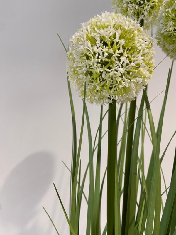 Kunstplant Gras Allium 3 witte bollen 80cm eliassen.nl 3