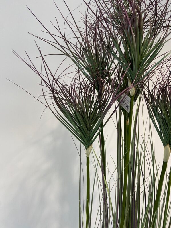 Kunstplant groot Gras met aren 150cm eliassen.nl 1