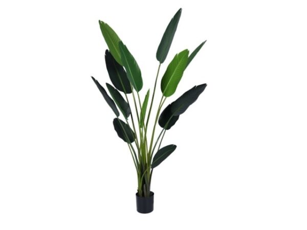 Kunstplant Strelitzia 185cm Eliassen.nl 118780