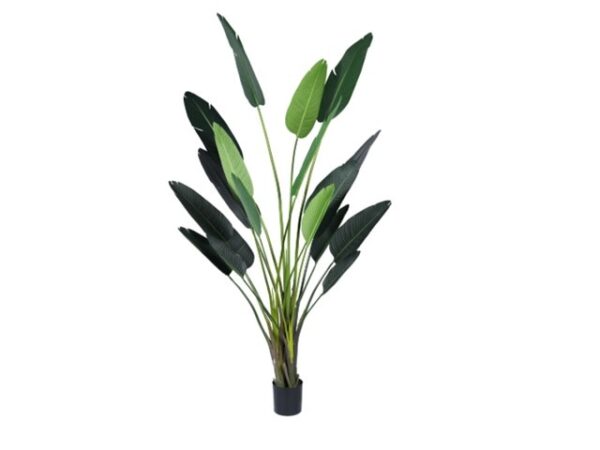 Kunstplant Strelitzia 260cm Eliassen.nl 118782