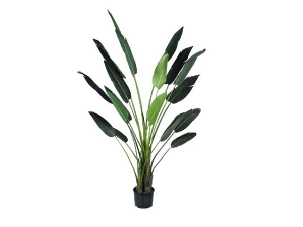 Kunstplant Strelitzia 310cm Eliassen.nl 118783