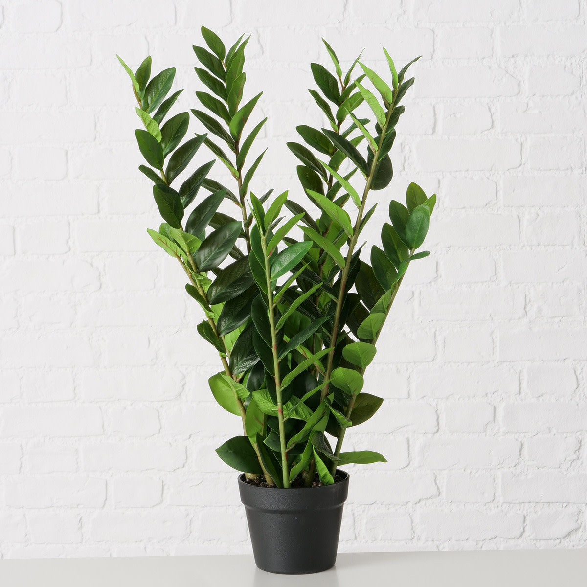 Kunstplant Zamimioculcas 76cm Eliassen.nl 2043808