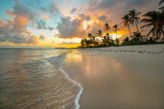 Schilderij paneel Eliassen.nl  0714-Strand-palmbomen