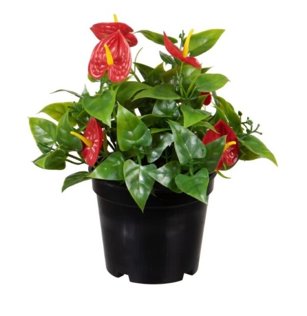 Anthurium rood kunstplant 15cm Eliassen.nl 06815525