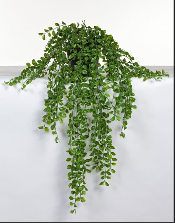 Kunst hangplant Ficus 85cm Eliassen.nl 06481p (2)