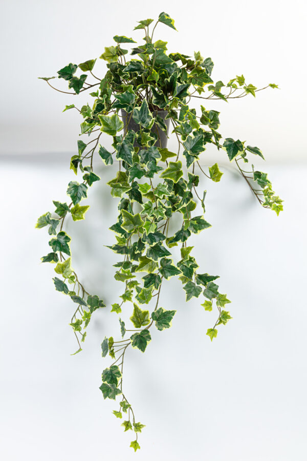 Kunst hangplant Hedera bont 105cm Eliassen.nl 10104p