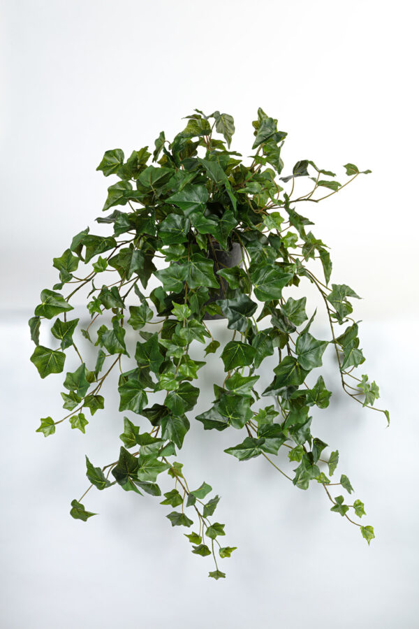 Kunst hangplant Hedera groen 80cm Eliassen.nl 10053ppgrn