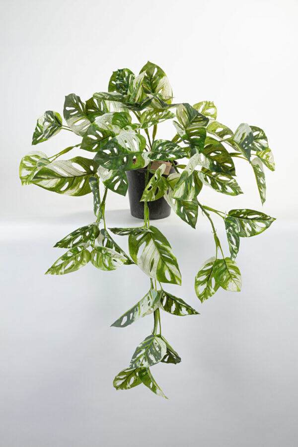 Kunst hangplant Monstera 70cm Eliassen.nl 10101p