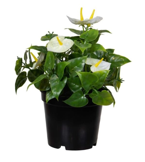 Kunstplant anthurium wit Eliassen.nl 06815403