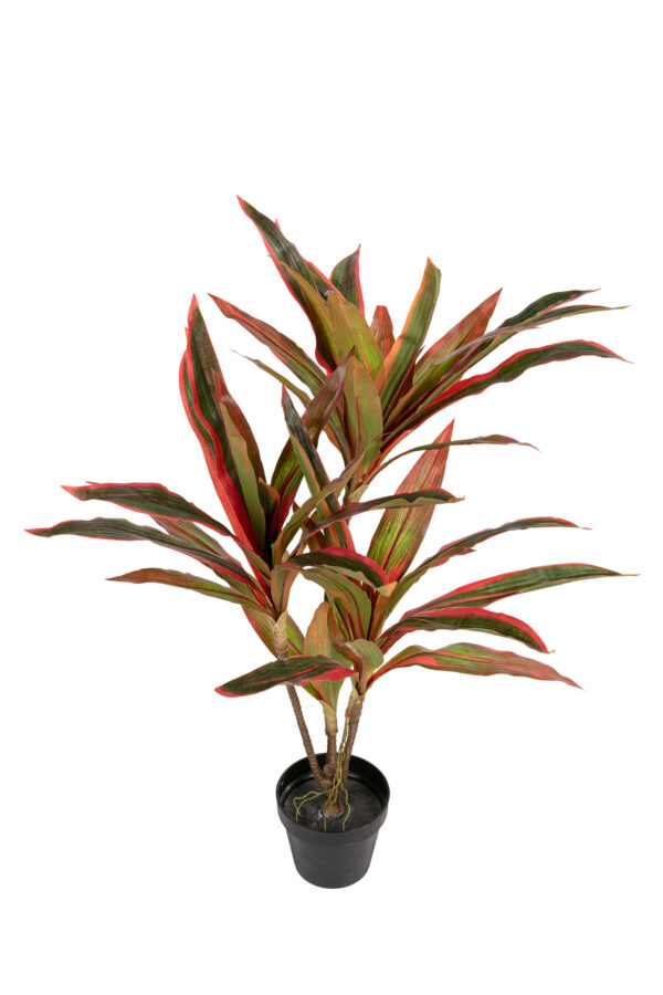 Kunstplant Draceana 80cm groenrood Eliassen.nl 17277 080