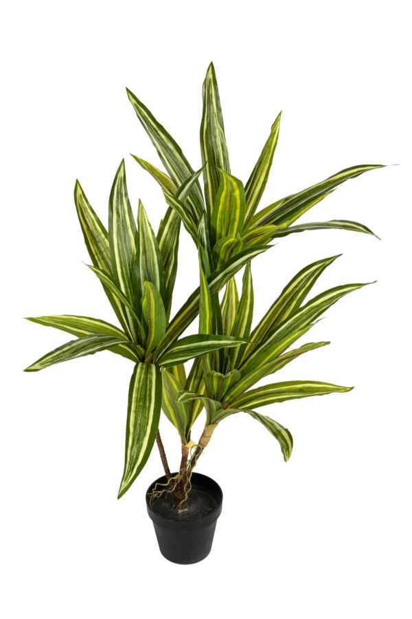 Kunstplant Draceana 80cm groenwit Eliassen.nl 17276 080