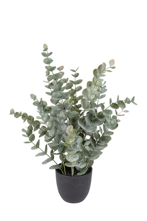 Kunstplant Eucalyptus 52cm groen Eliassen.nl 40599 000