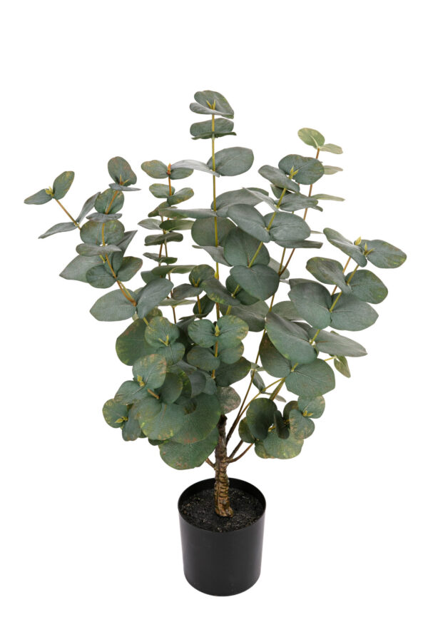 Kunstplant  Eucalyptus 60cm Eliassen.nl 17270 060