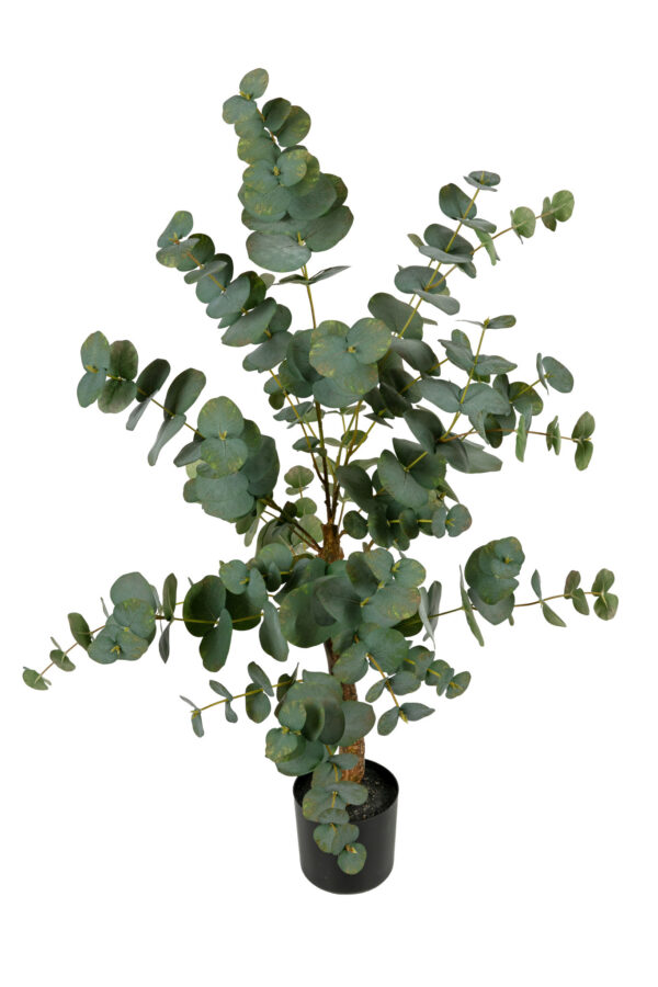 Kunstplant  Eucalyptus 95cm Eliassen.nl 17270 095