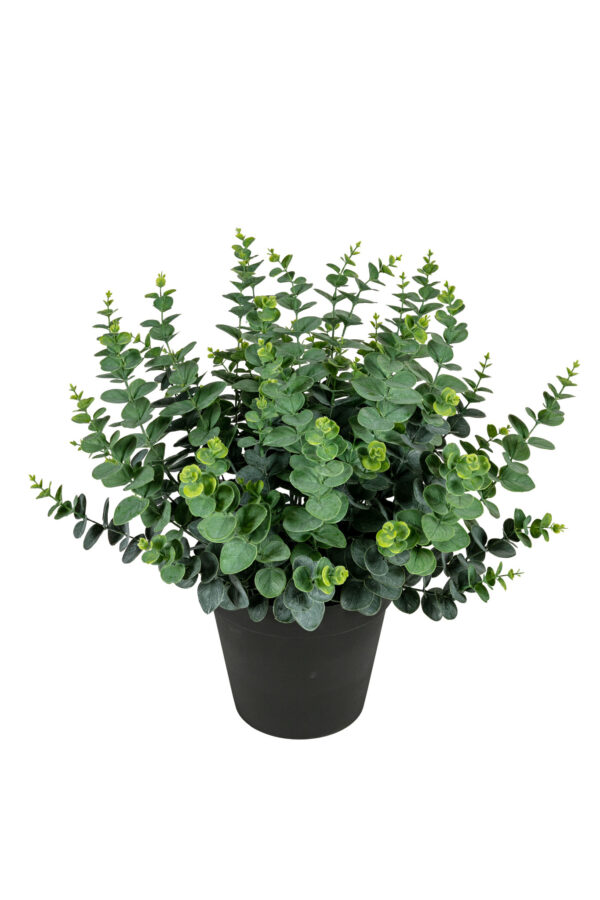 Kunstplant Eucalyptus Bos compact 70cm Eliassen.nl 40269 000