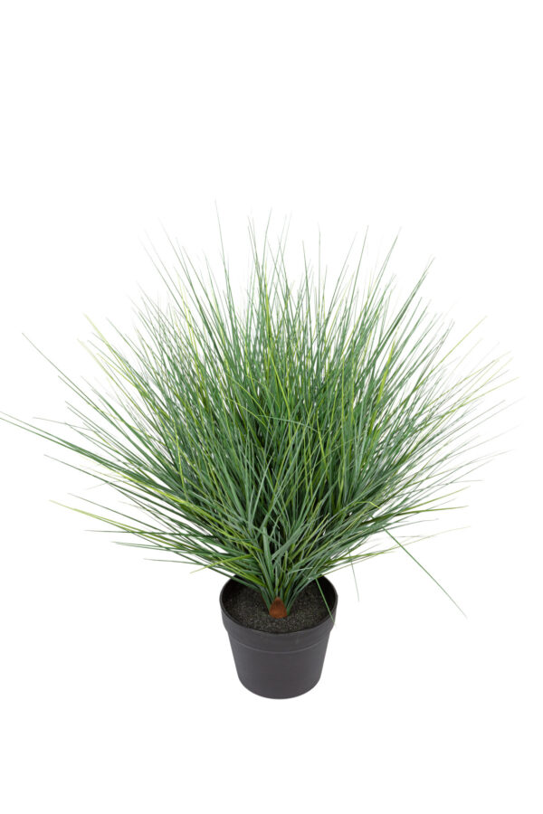 Kunstplant gras waaier 60cm groen Eliassen.nl 40592 060