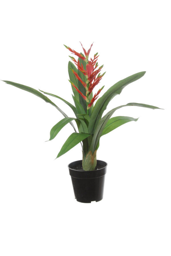 Kunstplant Guzmania 60cm rood Eliassen.nl 40802 526