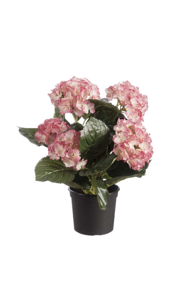 Kunstplant Hortensia roze 44cm Eliassen.nl 06752 696