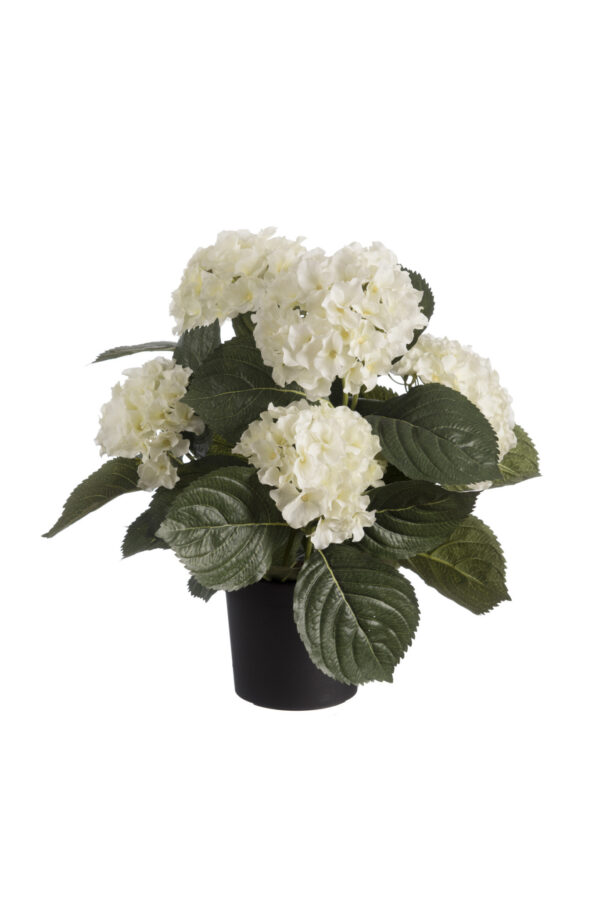 Kunstplant Hortensia wit 44cm Eliassen.nl 06752 403