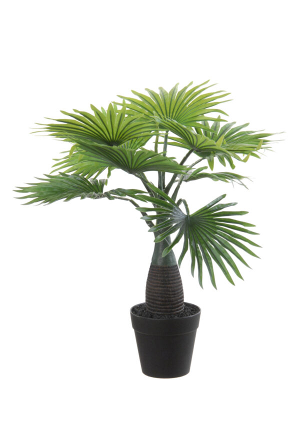 Kunstplant waaierpalm 45cm Eliassen.nl 17058 045